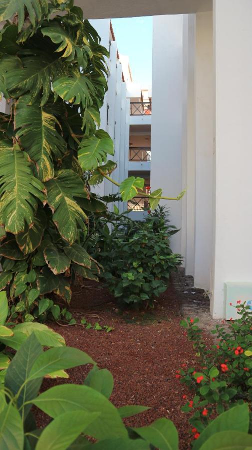 Apartamento En Tenerife Sur, Parque Santiago 2 Arona  Ngoại thất bức ảnh