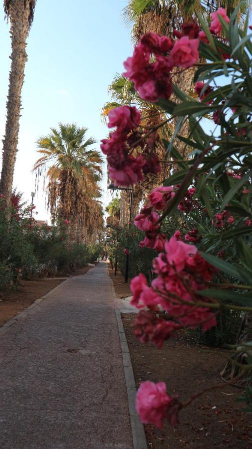 Apartamento En Tenerife Sur, Parque Santiago 2 Arona  Ngoại thất bức ảnh